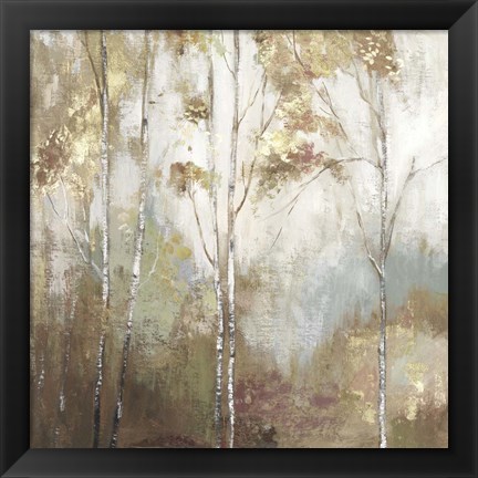 Framed Fine Birch II Print