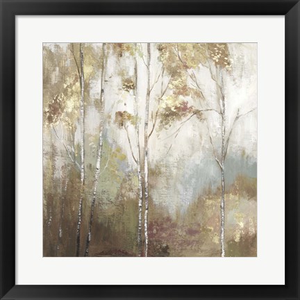 Framed Fine Birch II Print