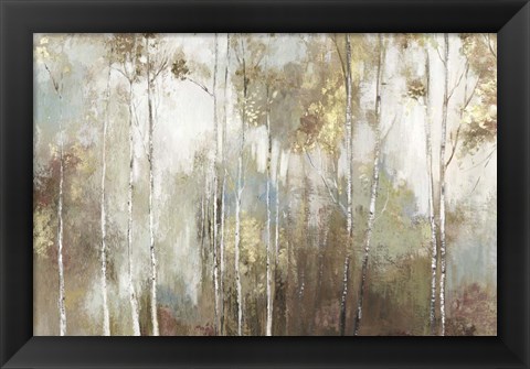 Framed Fine Birch III Print