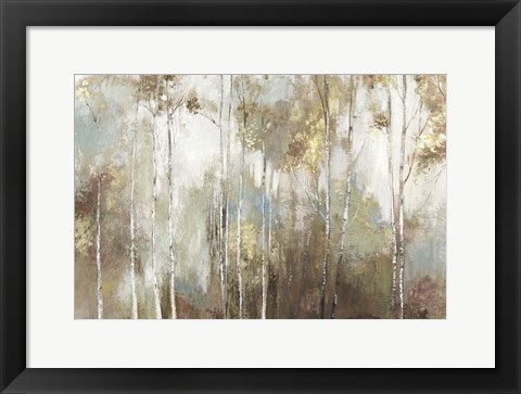 Framed Fine Birch III Print