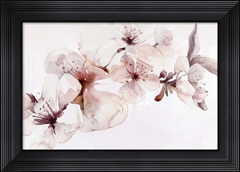 Framed Watercolor Blossoms I Print