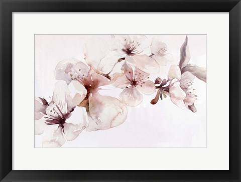 Framed Watercolor Blossoms I Print