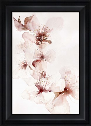 Framed Watercolor Blossoms II Print