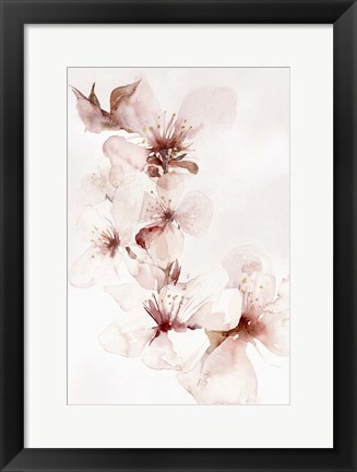 Framed Watercolor Blossoms II Print