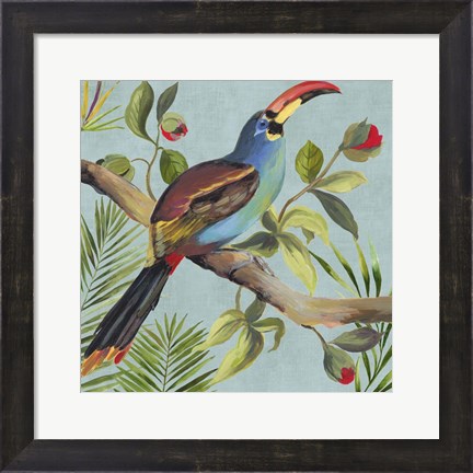 Framed Paradise Toucan I Print
