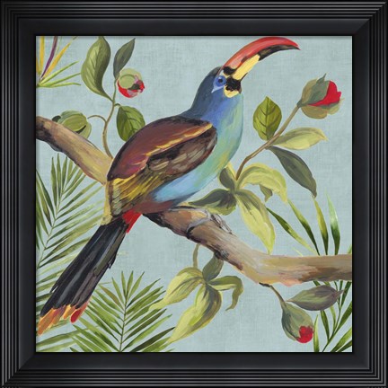 Framed Paradise Toucan I Print
