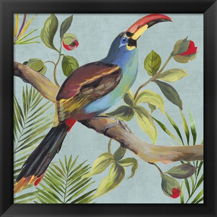 Framed Paradise Toucan I Print