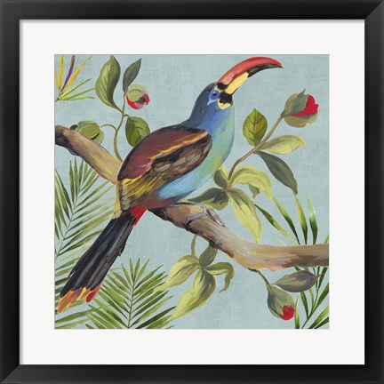 Framed Paradise Toucan I Print