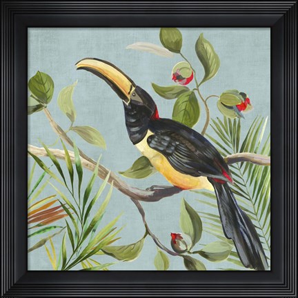 Framed Paradise Toucan II Print