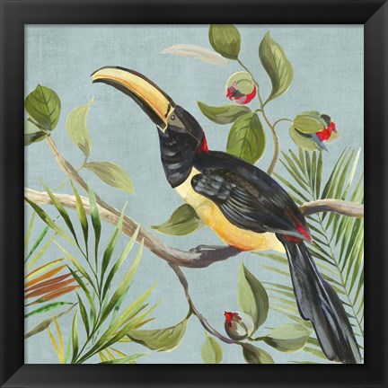 Framed Paradise Toucan II Print