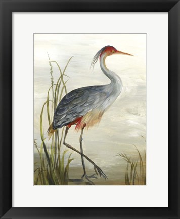 Framed Grey Heron Print