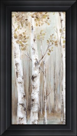 Framed Sunset Birch Forest I Print