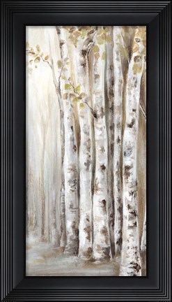 Framed Sunset Birch Forest II Print