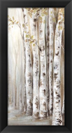 Framed Sunset Birch Forest II Print