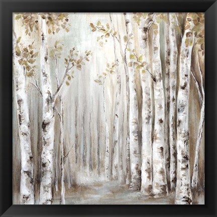 Framed Sunset Birch Forest III Print