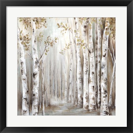 Framed Sunset Birch Forest III Print