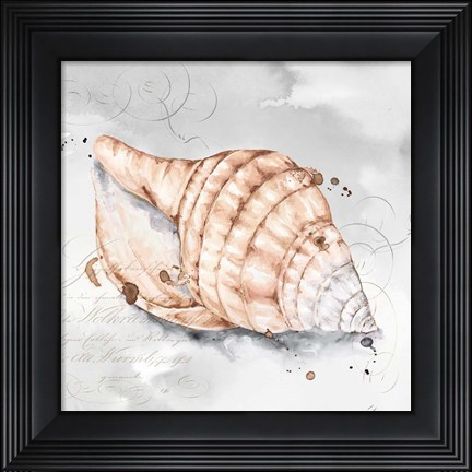 Framed Blush Shell I Print