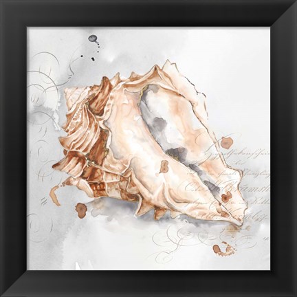 Framed Blush Shell III Print