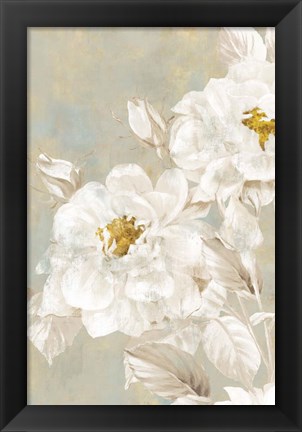 Framed White Rose II Print