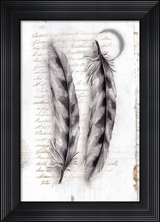 Framed Vintage Feathers I Print