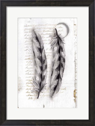 Framed Vintage Feathers I Print