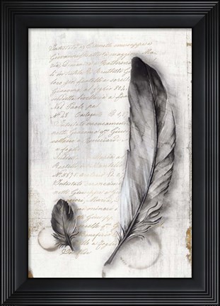 Framed Vintage Feathers II Print