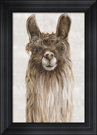 Framed Suri Alpaca I Print