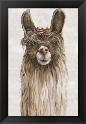 Framed Suri Alpaca I Print