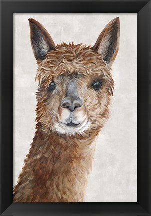 Framed Suri Alpaca II Print