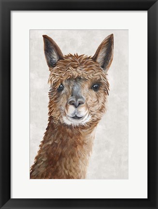 Framed Suri Alpaca II Print