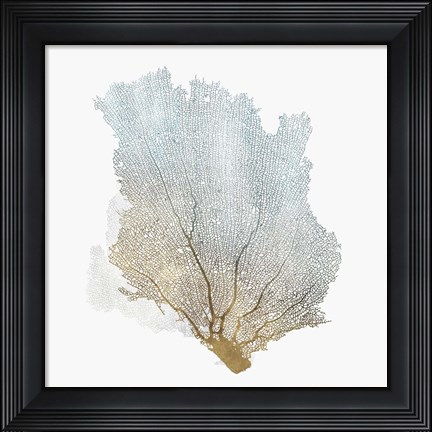 Framed Delicate Coral I Print