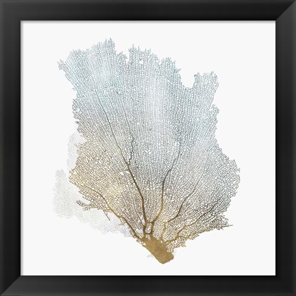 Framed Delicate Coral I Print