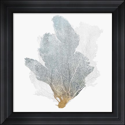 Framed Delicate Coral II Print