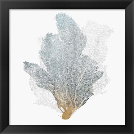 Framed Delicate Coral II Print