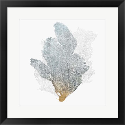 Framed Delicate Coral II Print