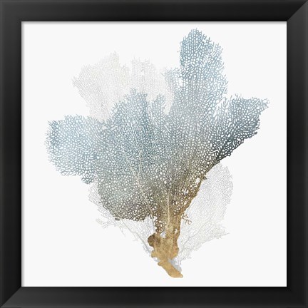 Framed Delicate Coral III Print