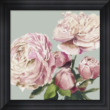 Framed Pink Peony II Print