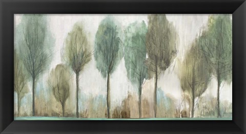 Framed Tall Trees Print