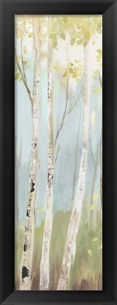 Framed Golden Birch I Print