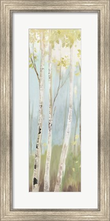 Framed Golden Birch I Print