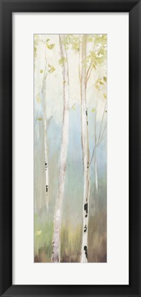 Framed Golden Birch II Print