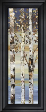 Framed Dark Birch II Print