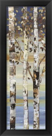 Framed Dark Birch II Print