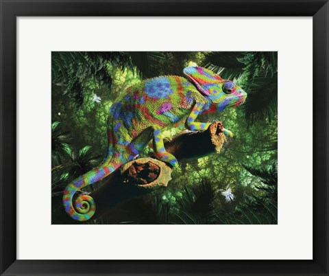 Framed Colorized Print