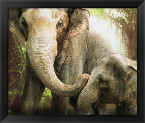 Framed Tender Giants Print