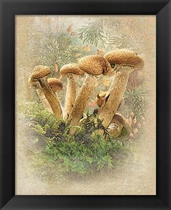Framed Happy Family Print