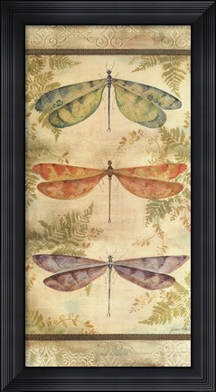 Framed Classical Dragonfly Panel Print
