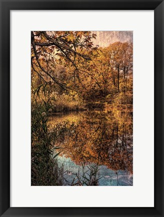 Framed Clove Lakes Park in Autumn C Print