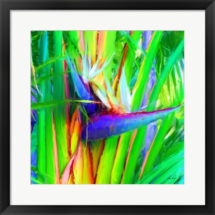 Framed Bird of Paradise 1 Print