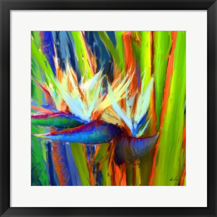 Framed Bird of Paradise 2 Print